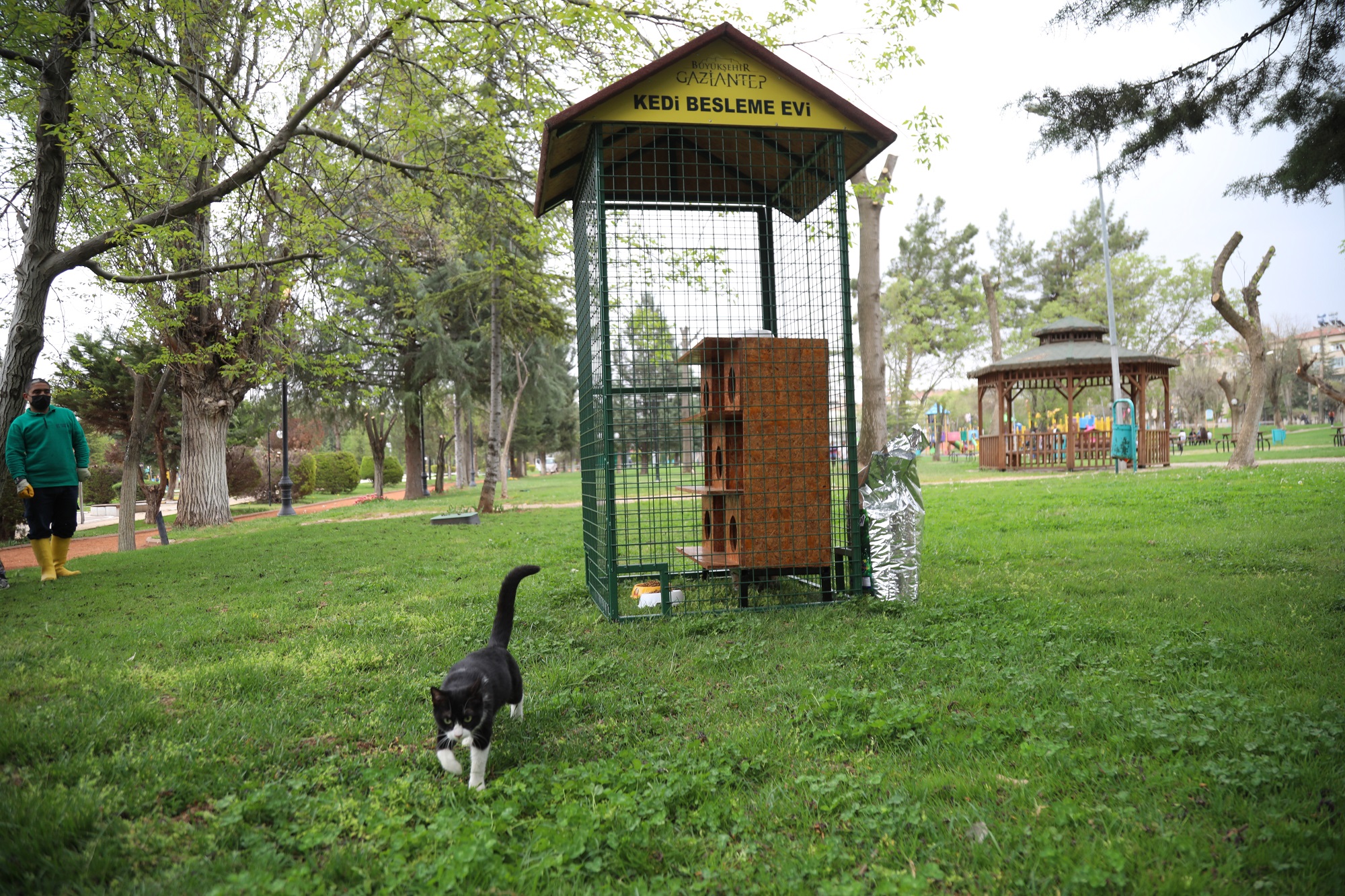 Buyuksehir Hayri Tutunculer Parki Na Yeni Kedi Evleri Kurdu Gaziantep Buyuksehir Belediyesi